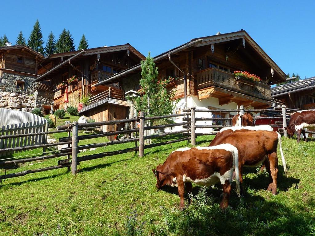 Almdorf Flachau - Luxus Huettenurlaub Chambre photo